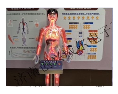 LED人体吸毒血液体验装置